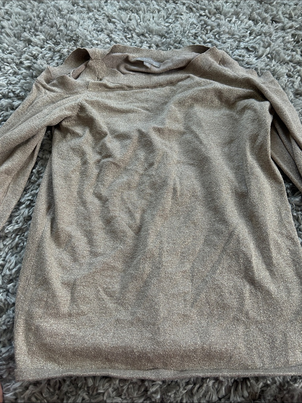Shimmery Taupe Knit Long Sleeve Top